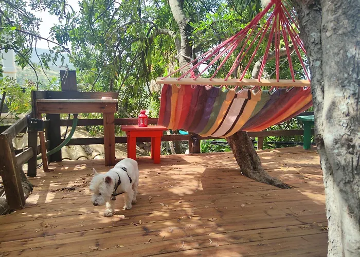 Soulis Guesthouse