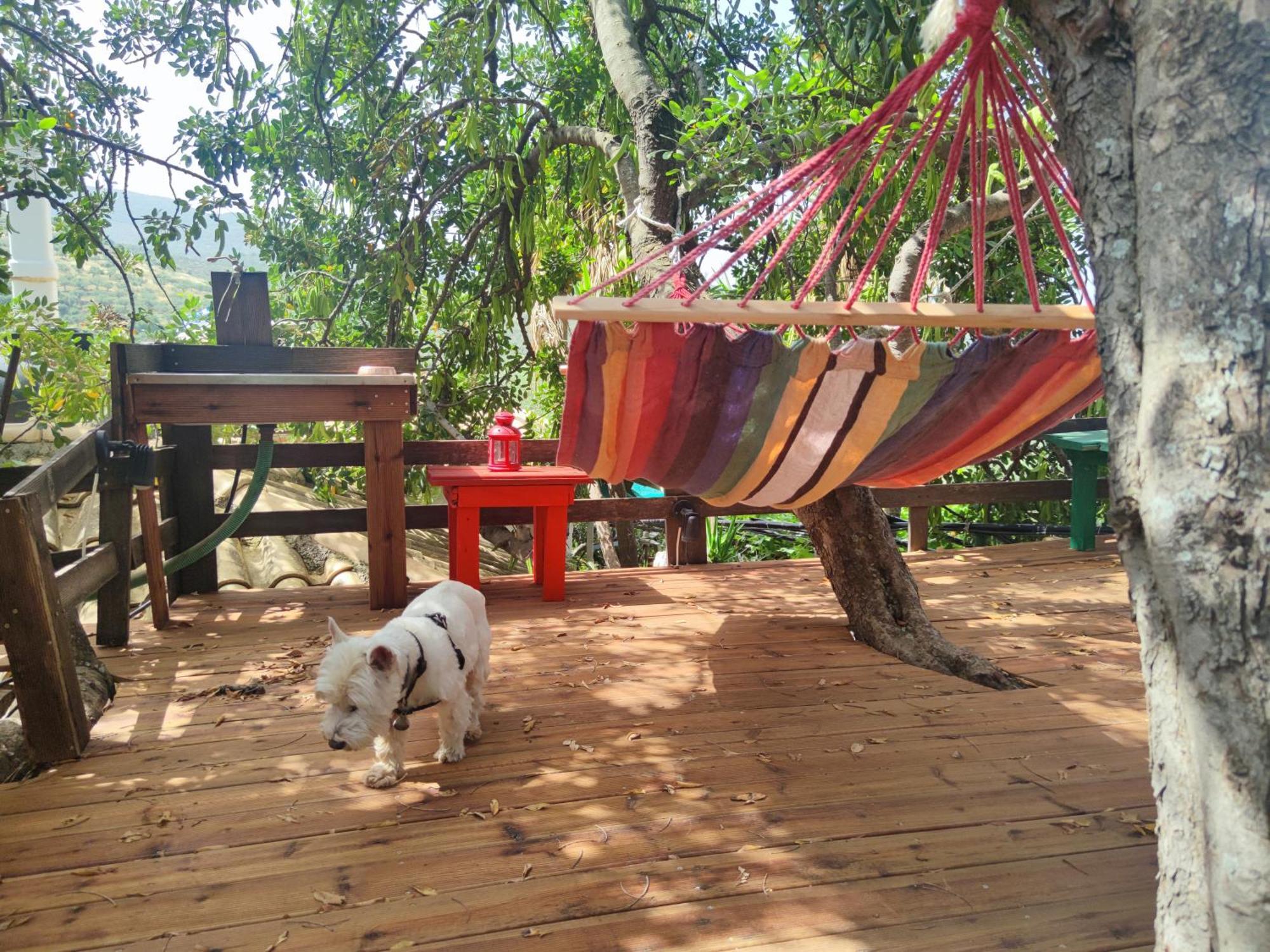Hébergement de vacances Soulis